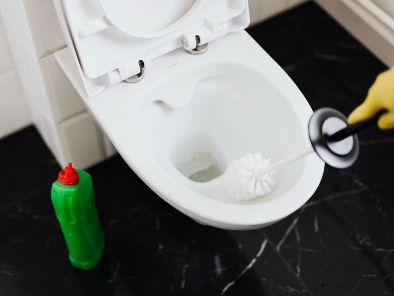 Ventouse et brosse utilisées pour déboucher une cuvette de WC